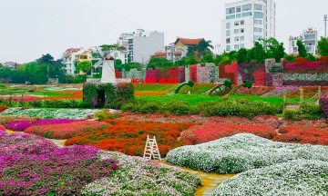 Đông đảo du khách check-in thung lũng hoa Hồ Tây