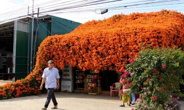 “Ngôi nhà màu cam” làm dân tình xốn xang tại Lâm Đồng