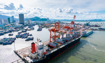 Chợ hải sản Quy Nhơn: Top các chợ nổi tiếng, hải sản tươi sống, giá tốt nhất