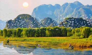 Cẩm nang du lịch Thung Nham 2 ngày 1 đêm: Khám phá  'vườn chim xứ Bắc” của Ninh Bình