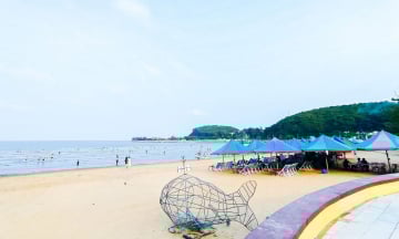 Du lịch biển 1 ngày nên đi đâu từ Hà Nội?