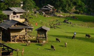 Ghé thăm những bản làng hút hồn du khách tại Sơn La