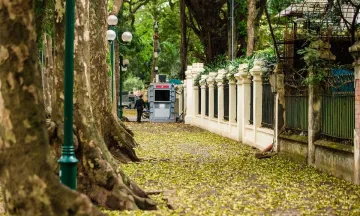 Chùm ảnh Hà Nội trong mùa lá rụng