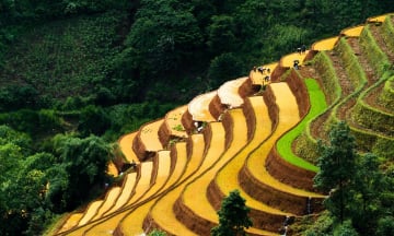 Địa điểm nổi tiếng nhất Yên Bái vào mùa nước đổ “đẹp hơn tranh vẽ”