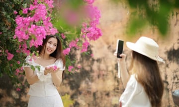 Du khách mê mẩn đường hoa giấy rực rỡ giữa lòng Nha Trang