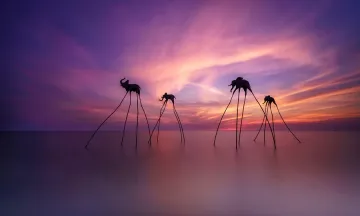 Báo Anh ca ngợi Việt Nam: “Quốc gia châu Á tuyệt đẹp hơn cả Thái Lan”