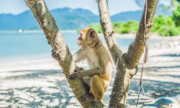 Bí kíp du lịch Nha Trang 3 ngày 2 đêm siêu tiết kiệm