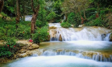 Chiêm ngưỡng dòng nước trong xanh “hóa đá” mọi vật tại Thanh Hóa đã từng lọt Top 7 Ấn tượng Việt Nam