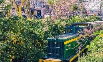 Tiết kiệm đến 40% chi phí, du lịch bằng tàu hỏa lên ngôi mùa hè