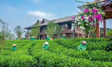 Thái Nguyên lần đầu ra mắt tour  'trà – lịch sử – hồ ' sau sáp nhập