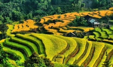 Chiêm ngưỡng vẻ đẹp nên thơ của Nậm Ty, Hoàng Su Phì