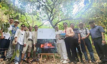 Lần đầu tiên tại Việt Nam: Triển lãm Nhà Gỗ To được xây giữa rừng Khánh Hòa