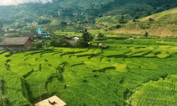 Sa Pa mùa lúa xanh: Khung cảnh đẹp như bước ra từ phim điện ảnh