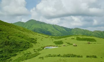 Khám phá thảo nguyên xanh mướt ở Bắc Giang: Điểm chữa lành cực chill cách Hà Nội 100km