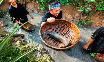 Vi vu Cái Bè 2N1Đ cùng travel blogger Vinh Gấu