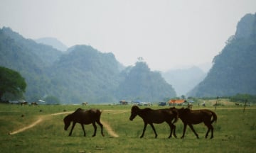 Ngắm nhìn loạt ảnh Hữu Lũng - Lạng Sơn mùa nước cạn của du khách