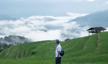 Vi vu Hoàng Su Phì cùng lịch trình 3N2Đ của du khách
