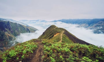 Gợi ý lịch trình đi Mộc Châu - Tà Xùa 2N1Đ tự túc