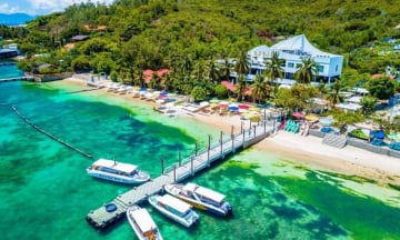 Có bao nhiêu loài san hô tại vịnh San Hô Nha Trang?