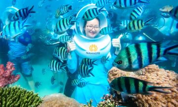 Top những tour lặn biển ngắm san hô hot nhất ở Phú Quốc bạn không nên bỏ lỡ
