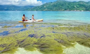 Hòn Nưa - Phú Yên: Khám phá  'chú khủng long khổng lồ ' giữa biển khơi