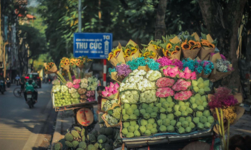 Mê mẩn vẻ đẹp của mùa thu Hà Nội