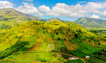 Tuần lễ Hoa Dã quỳ - Núi lửa Chư Đang Ya: Top những đặc sản núi rừng Tây Nguyên không thể bỏ lỡ