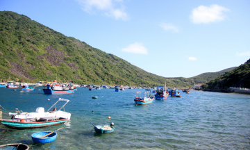 Đảo Bích Đầm Nha Trang: Điểm  'trốn Tết ' 2025 lý tưởng cho du khách yêu thích thiên nhiên hoang sơ