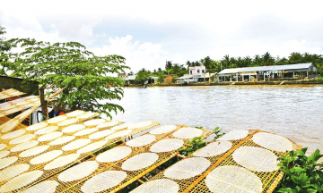 Làng nghề bánh tráng Trảng Bàng: Hành trình khám phá tinh hoa ẩm thực Tây Ninh