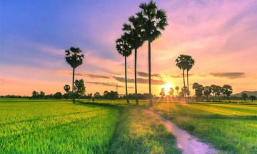 Du lịch An Giang 2 ngày 1 đêm - Đi đâu, ăn gì, cần lưu ý những gì?