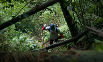 “Phá đảo” trekking 3 đỉnh núi Tam Đảo