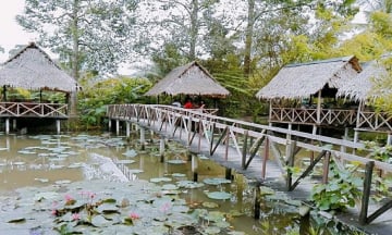 Khám phá khu du lịch Ba Láng -  'Ốc đảo xanh ' giữa lòng Cần Thơ