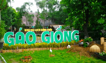 Khu du lịch sinh thái Gáo Giồng Đồng Tháp: Trọn bộ kinh nghiệm vui chơi đầy đủ nhất