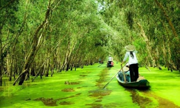 Du lịch hè 2025 ăn gì, chơi gì, ở Đồng Tháp?