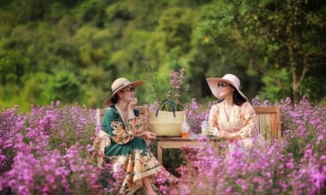 [Tổng hợp] Địa điểm du lịch Đà Lạt cho người lớn tuổi được yêu thích nhất