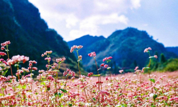 Bỏ túi 5 điều cần lưu ý khi đi du lịch Hà Giang dịp lễ 30/4