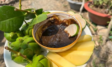 Thưởng thức mắm còng Cần Giuộc Long An – Hương vị quê nhà đậm chất miền Tây sông nước