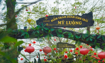 Khám phá khu lịch sinh thái Mỹ Luông - Thiên đường nghỉ dưỡng tại An Giang