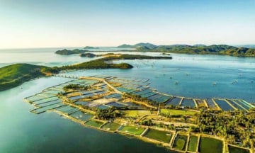 Từ sân bay Tuy Hòa đến Đầm Ô Loan bao xa?