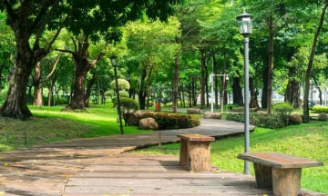 Đổi gió cuối tuần với 7 địa điểm picnic đẹp nhất Sài Gòn