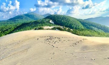 Đồi cát Từ Nham – “Tiểu sa mạc” ẩn mình giữa Phú Yên thơ mộng