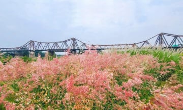Địa điểm chụp ảnh  'hot ' nhất Hà Nội lúc này – Không cần đi xa vẫn có ảnh  'đẹp như cổ tích '