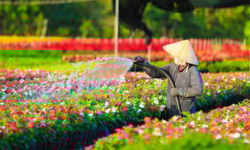Từ Sài Gòn đi Sa Đéc bao nhiêu km?