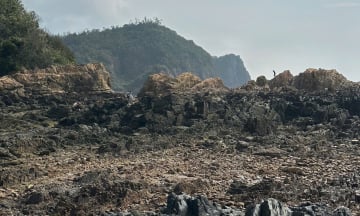 Bỏ túi kinh nghiệm đi bãi đá Móng Rồng - Điểm đến không thể bỏ lỡ khi tới Cô Tô