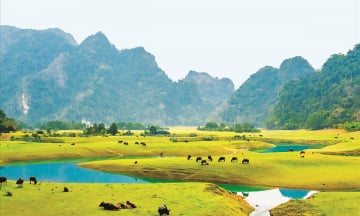 Địa điểm chữa lành cách Hà Nội 3 giờ lái xe, lý tưởng cho người hướng nội