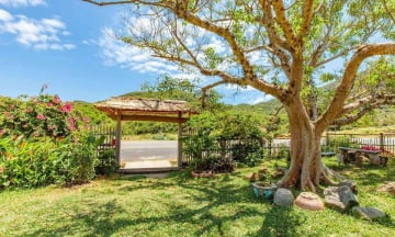 Ghé thăm B&U Farm - Điểm du lịch sinh thái hấp dẫn của Phú Yên