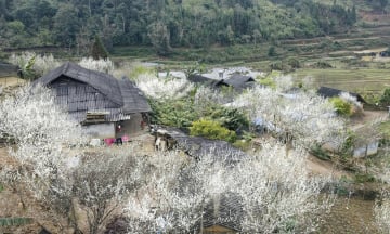 Từ Hà Nội đi Bắc Hà Lào Cai bao nhiêu km?