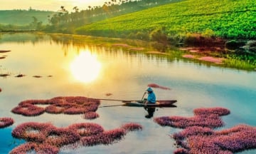 Từ Đà Lạt đi Bảo Lộc bao nhiêu km?
