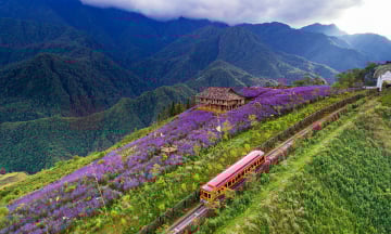 Du lịch Sapa hè 2025: Top những nơi đẹp nhất nên đi