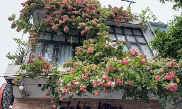 Top 5 homestay Quảng Bình gần biển Nhật Lệ giá tốt nhất